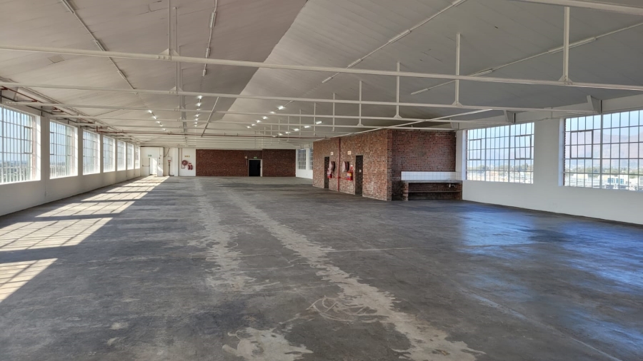 To Let Commercial Property for Rent in Diep River Western Cape